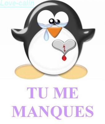 je doit l'avouer